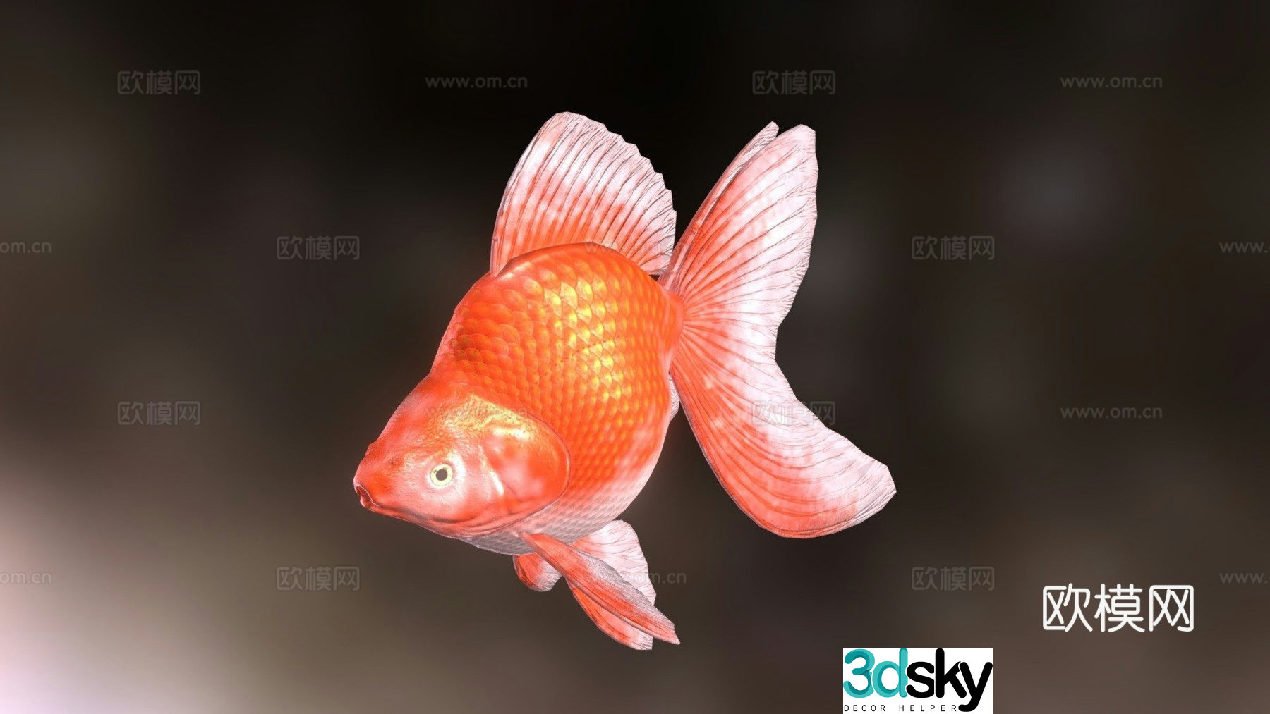 Ryukin goldfish 3d model