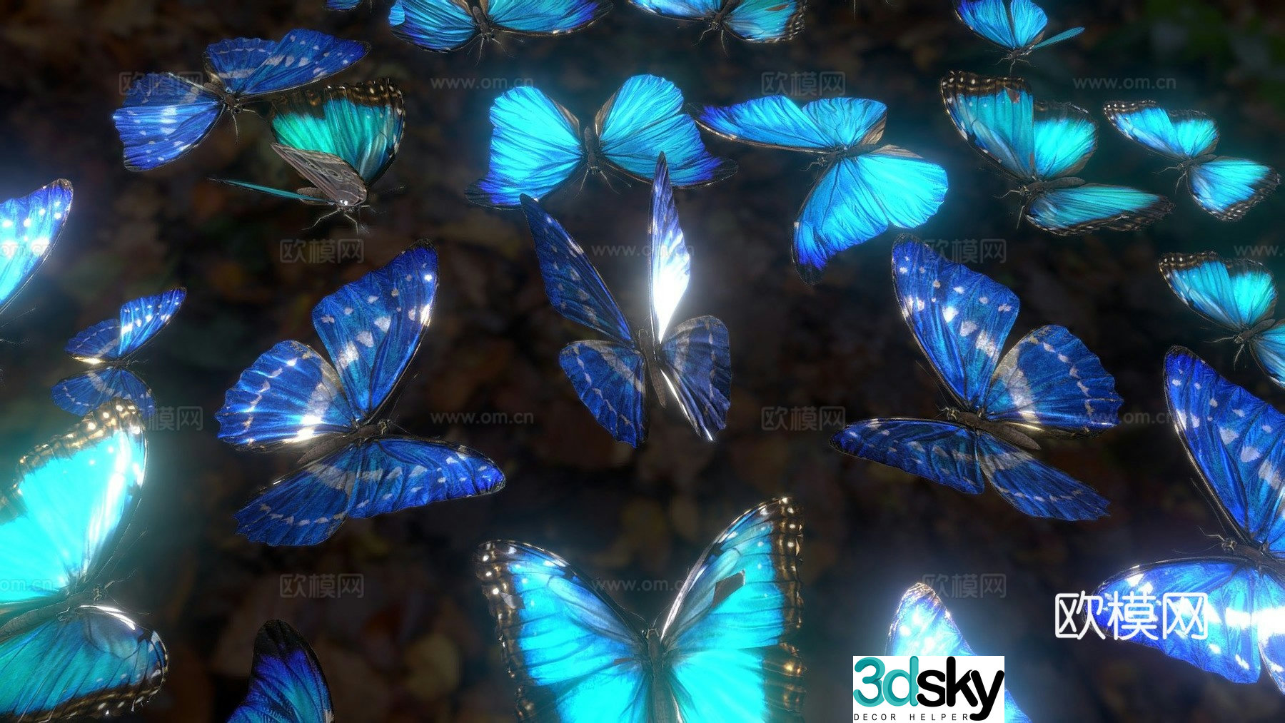 Morpho carpet 3d model