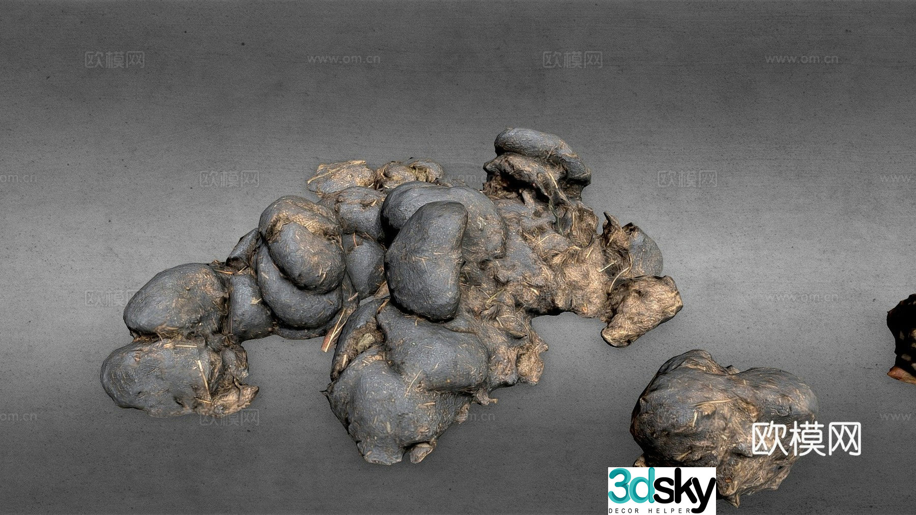 Horse manure pile scanning 3d model