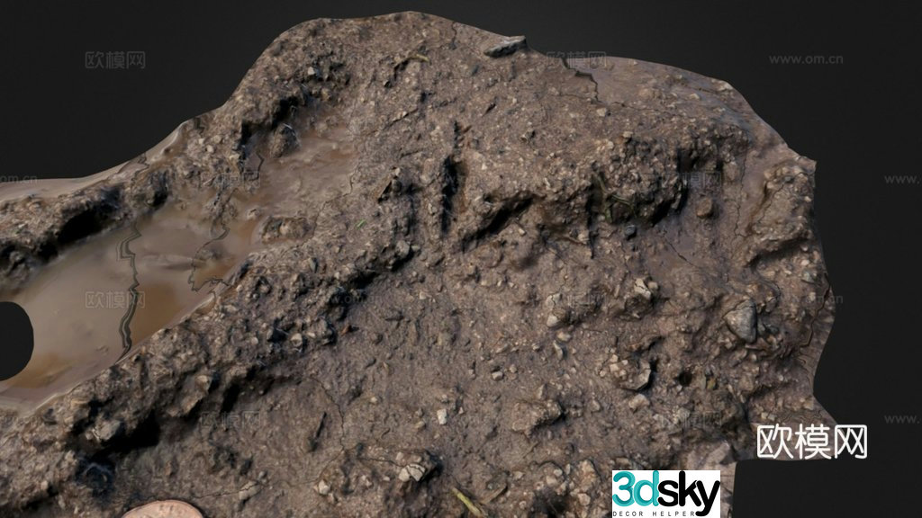bird footprint ooze,rabi,wirral 3d model
