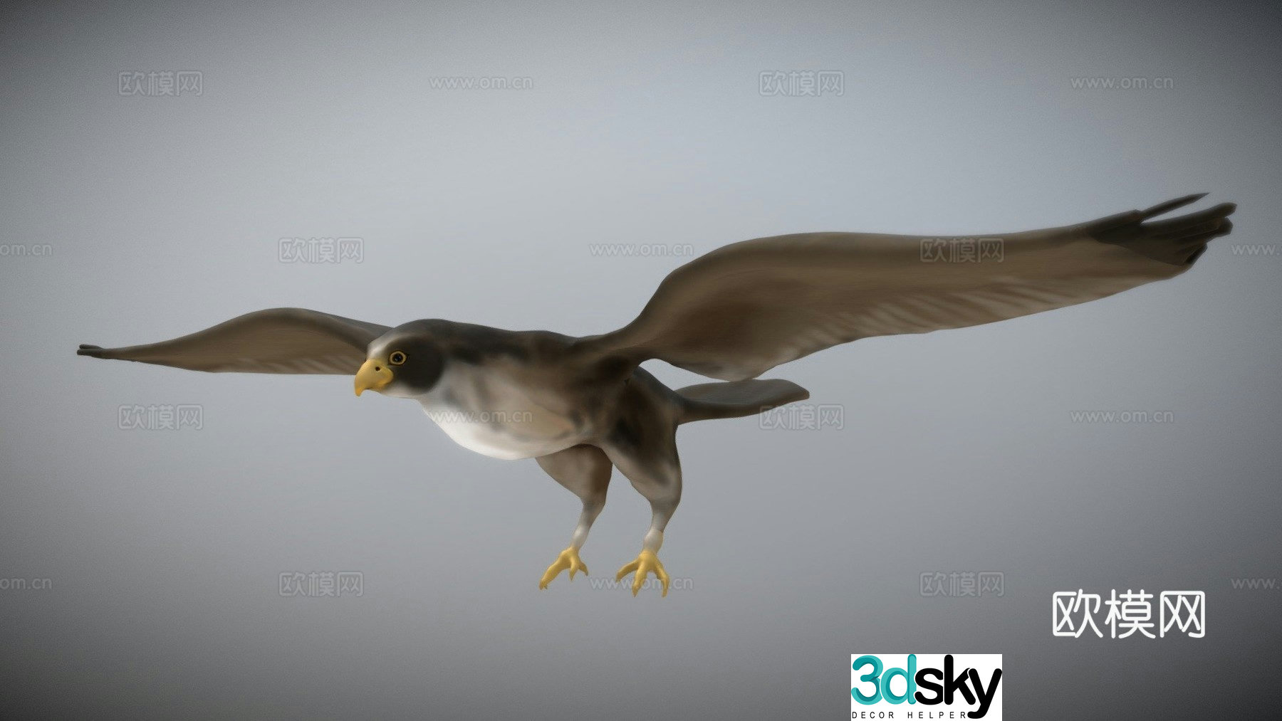 Falcon 3d model