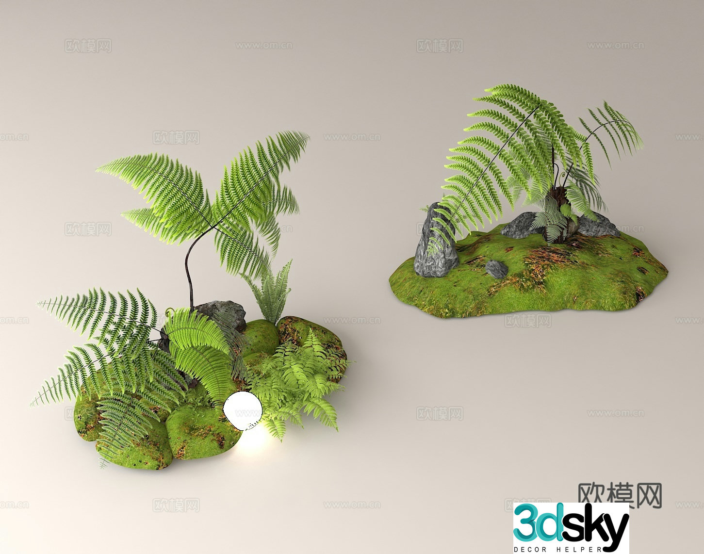 Fern plant landscape microlandscape design green plant decoration moss landscape ecological landscaping 3D model