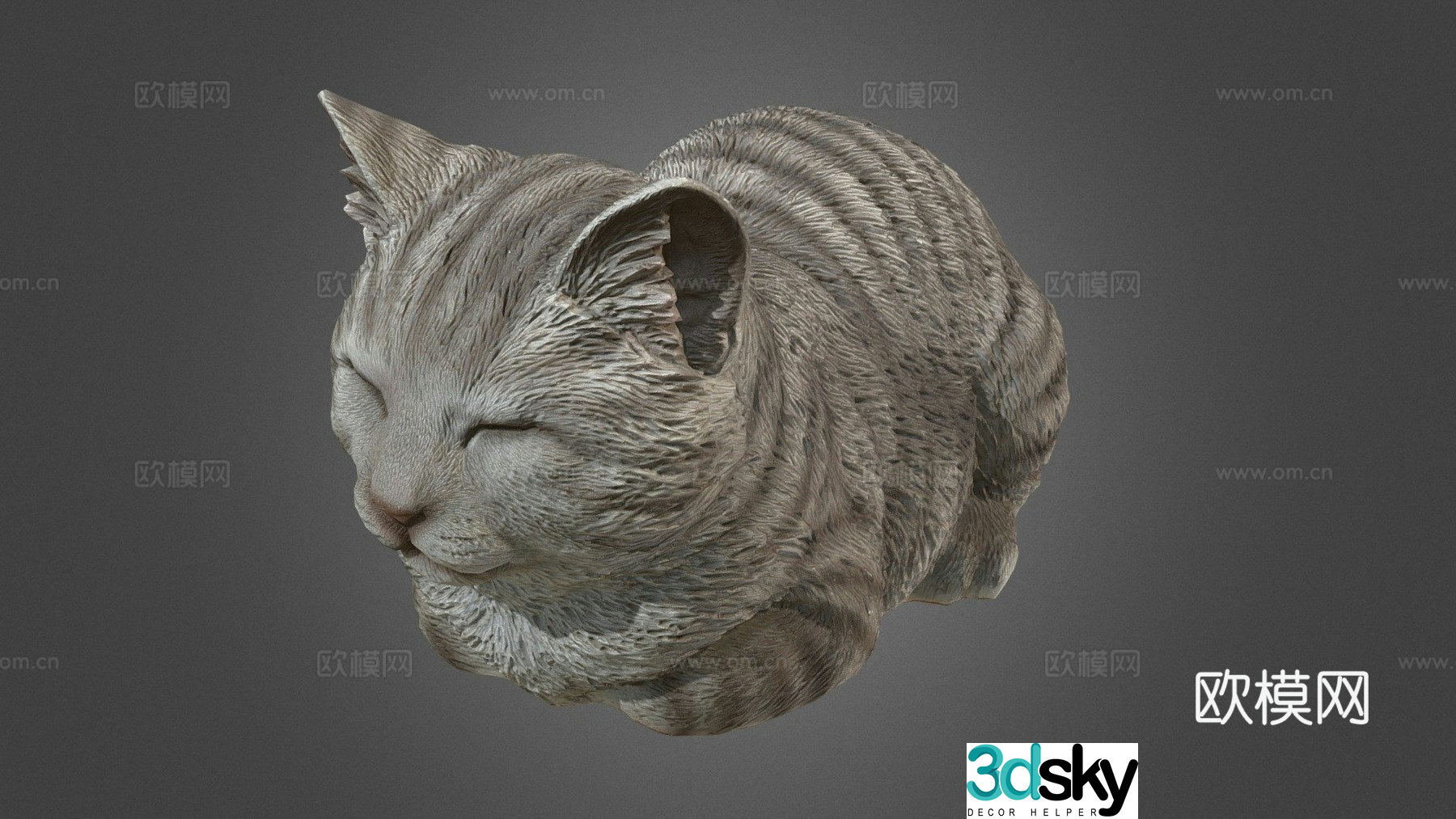 Doze Cat 3D Model