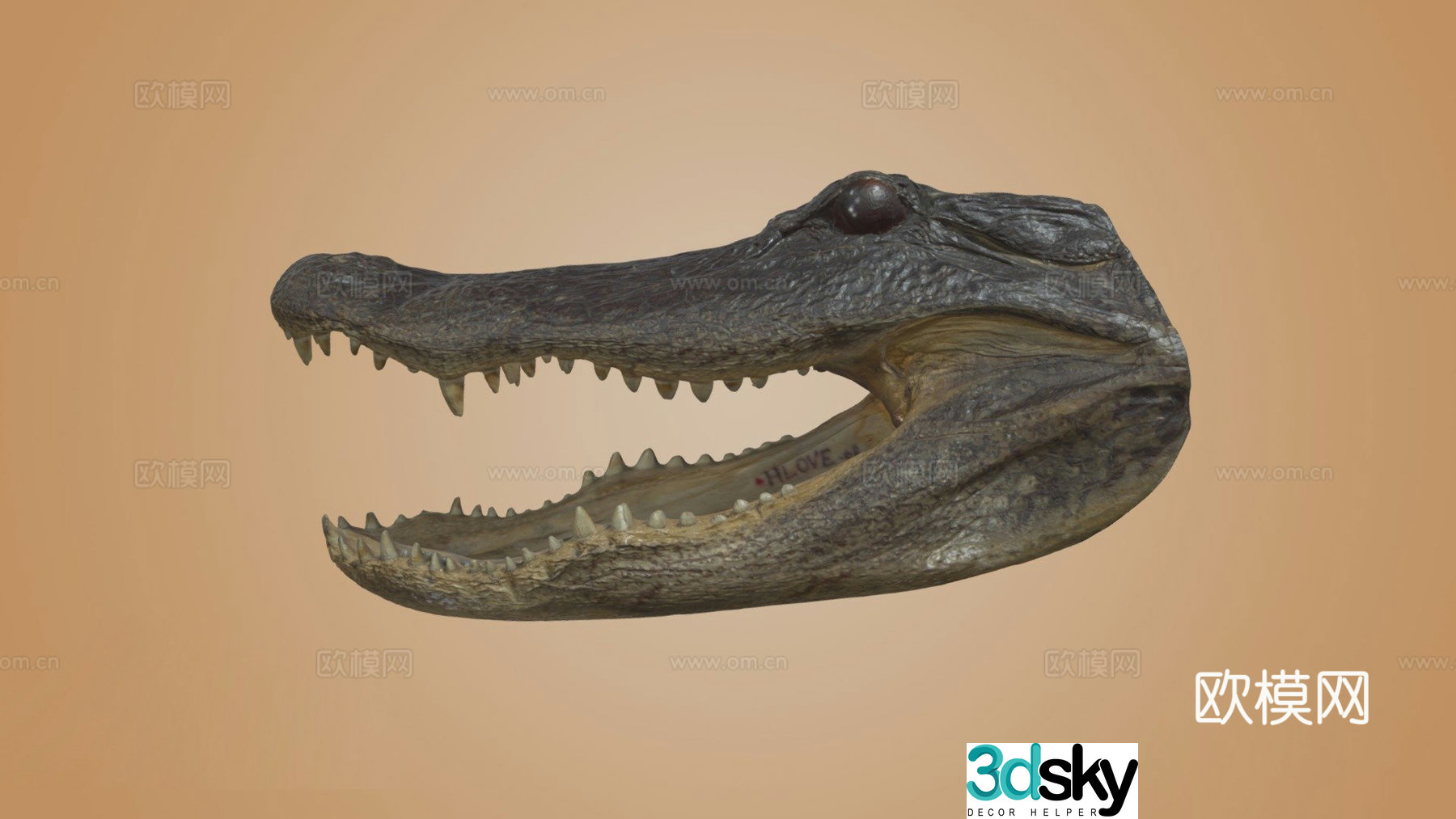 Crocodile head 3d model