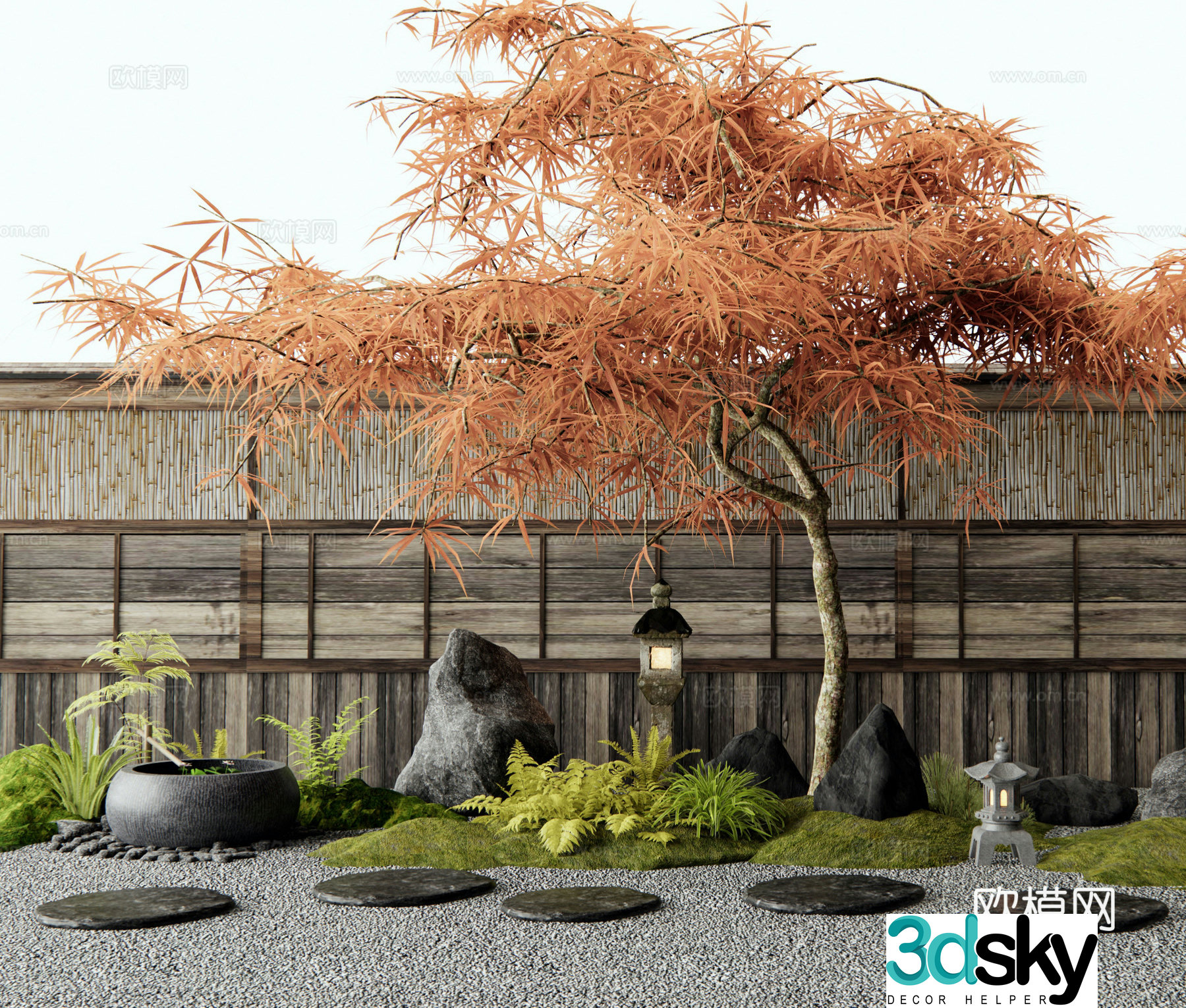 Japanese feather maple red maple tree landscape tree garden landscape sketch water bowl 3d model