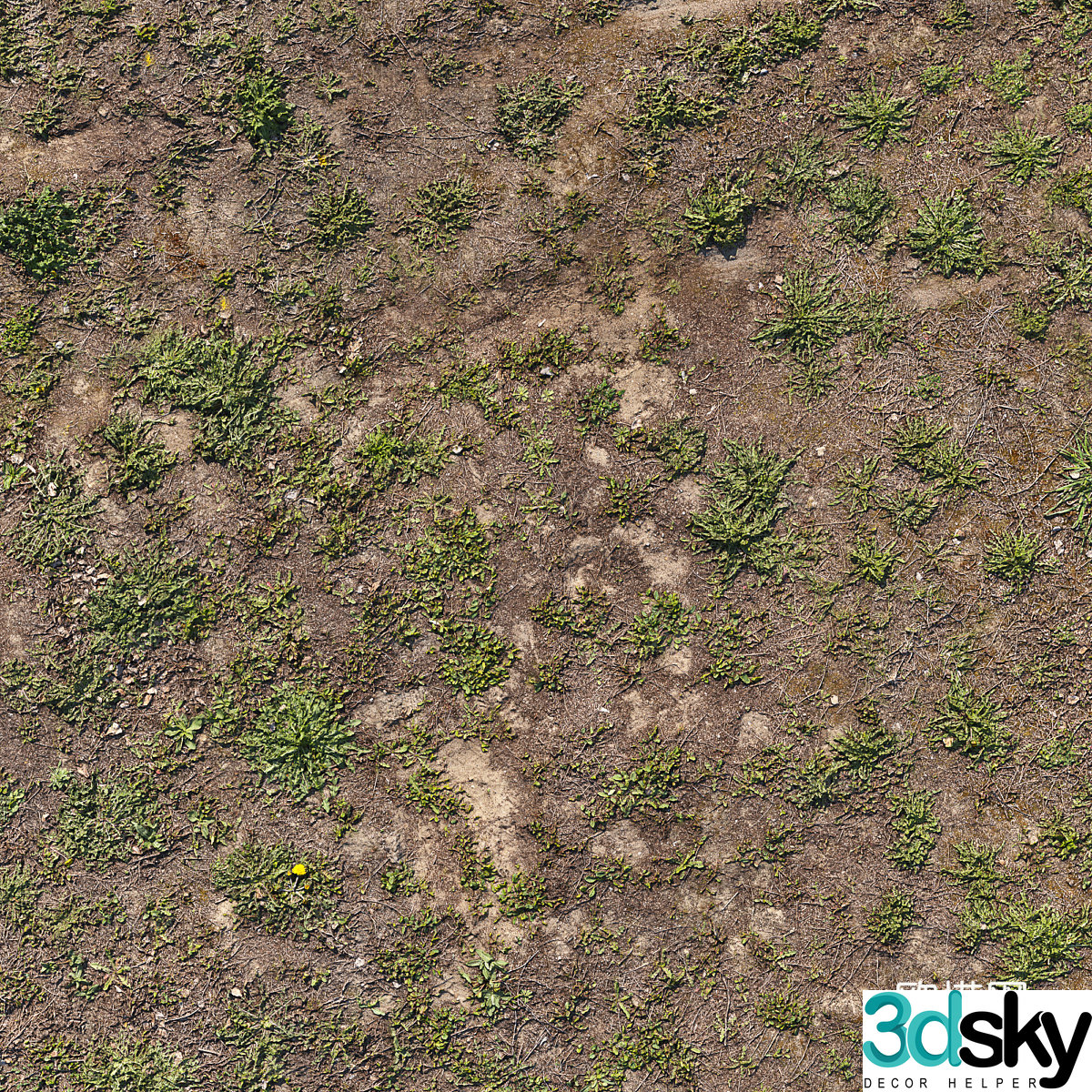 Grass 3d model