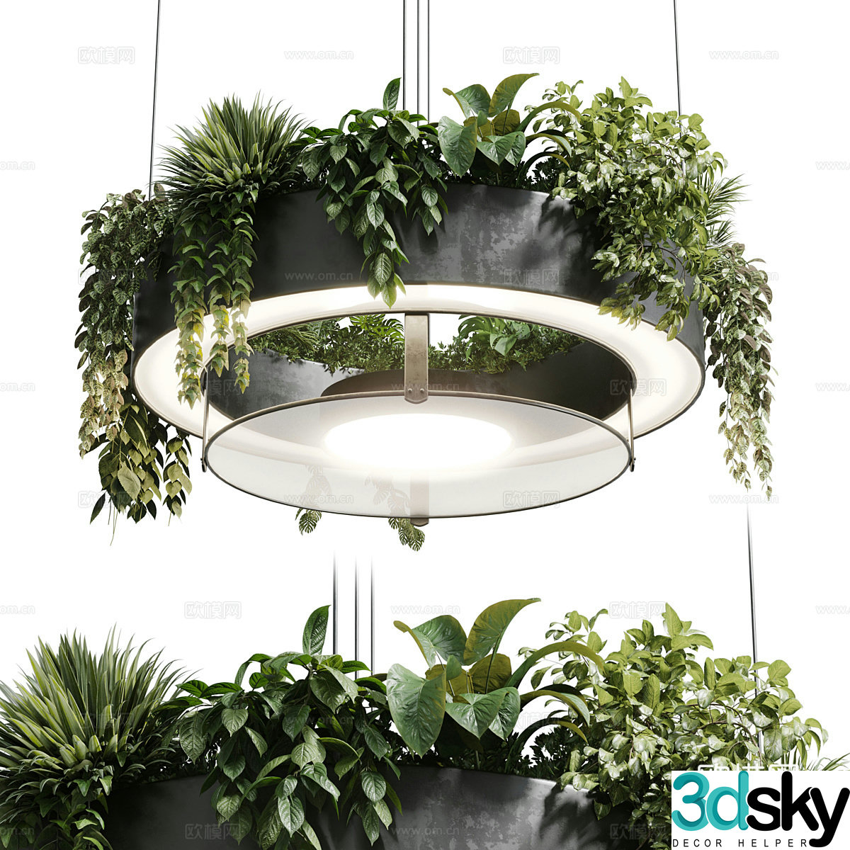 Modern round hanging green plant decorative pot light 3d model