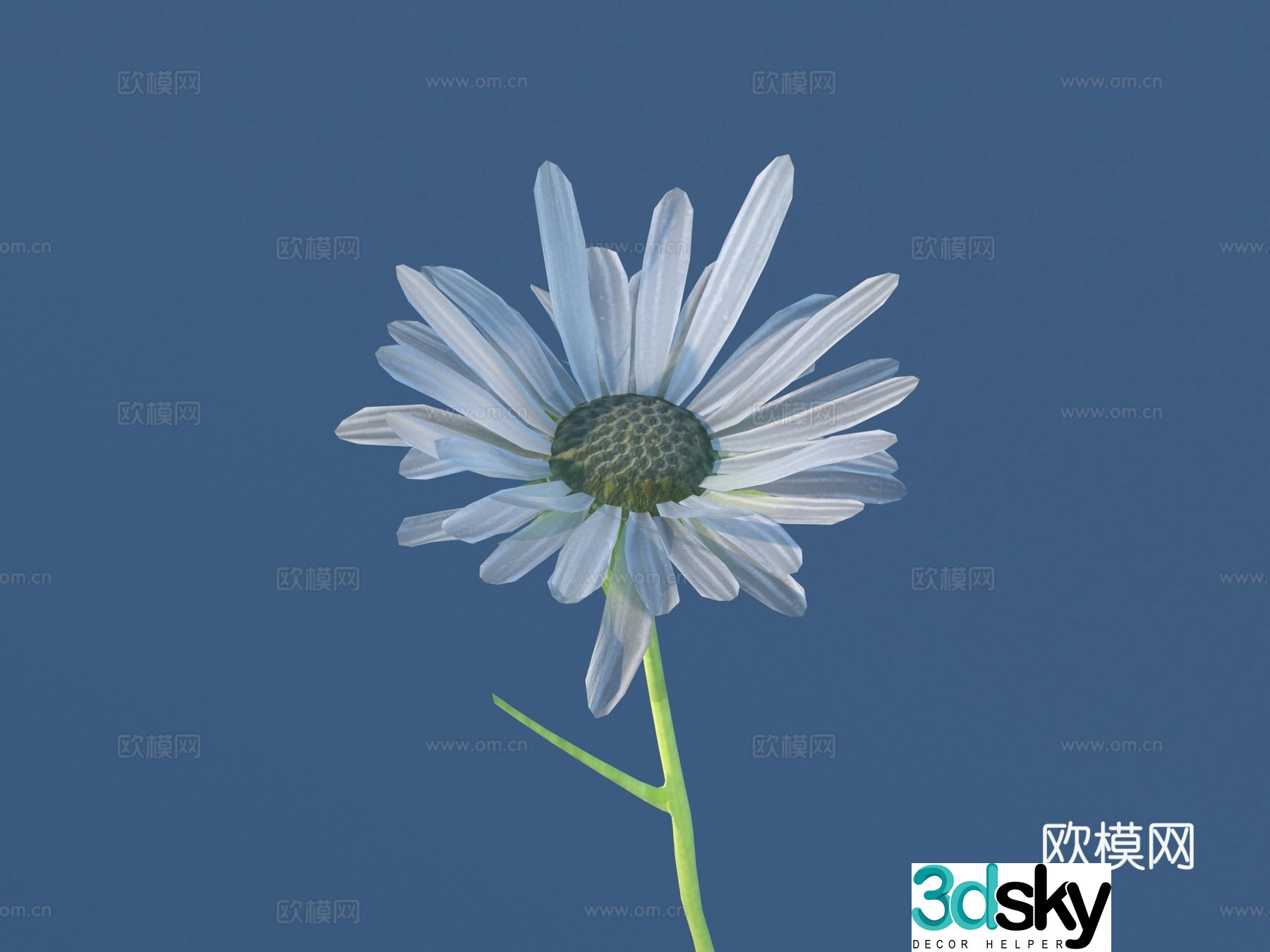 Flowers Wild Flowers Green Plants Flowers 3D Model