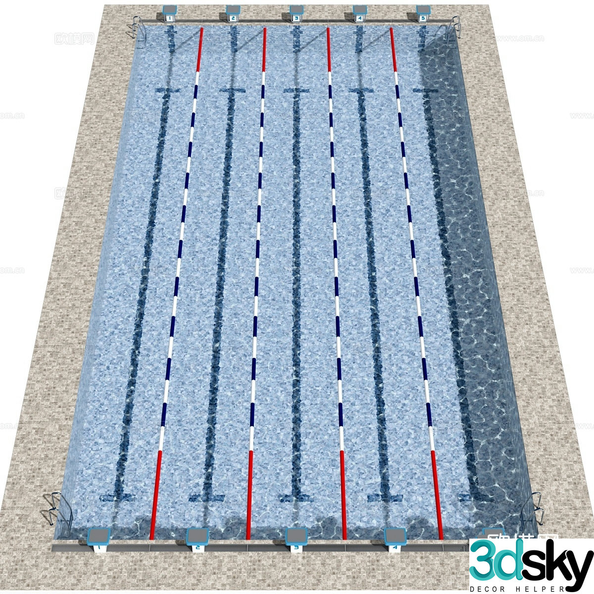 Swimming pool with lanes 3d model