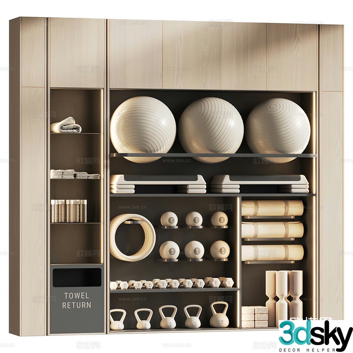 Modern fitness equipment equipment cabinet 3d model
