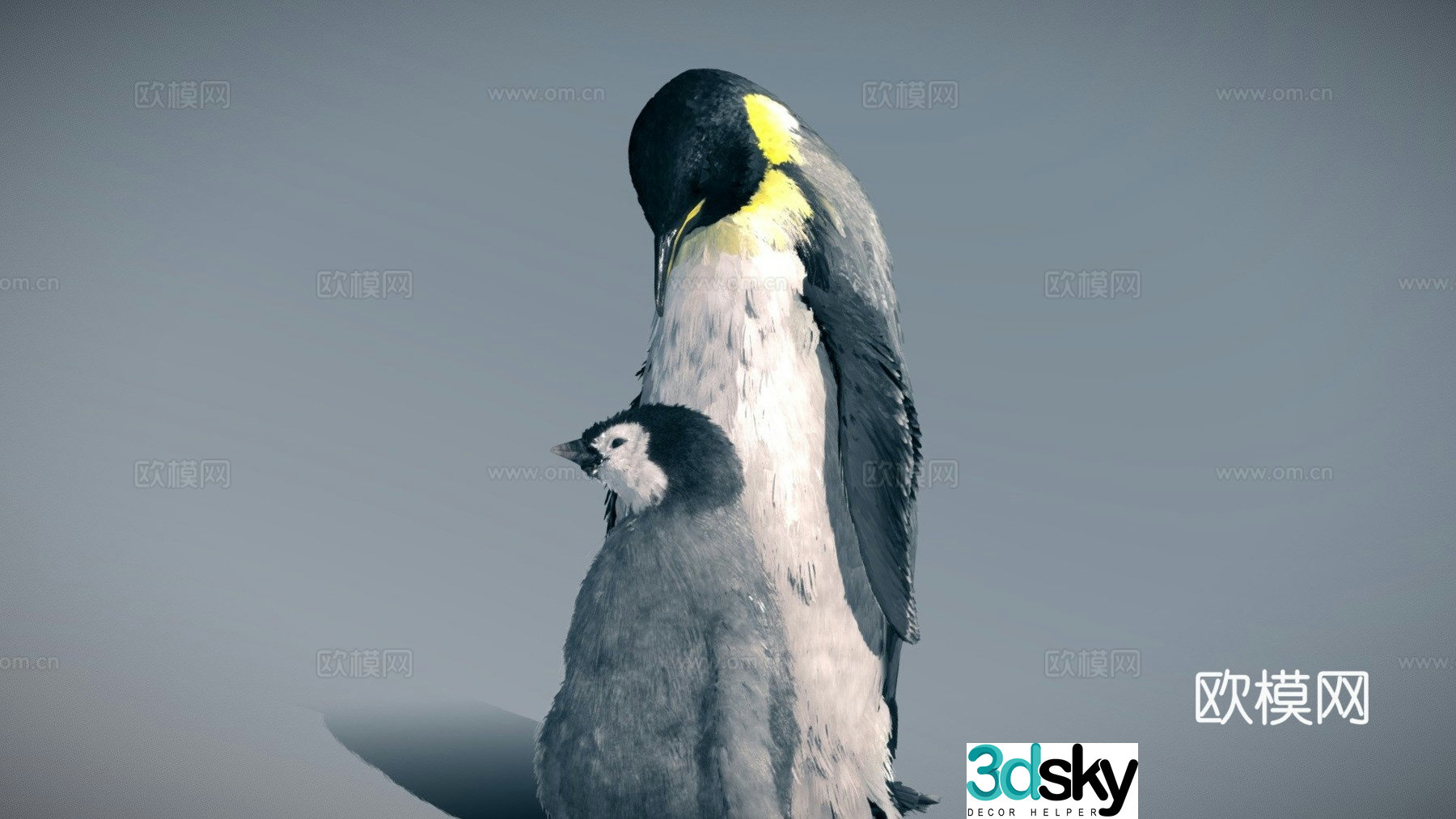 Emperor Penguin (Family Pack) 3d model