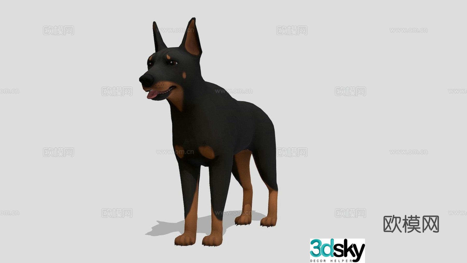 Doberman Pinscher 3d model