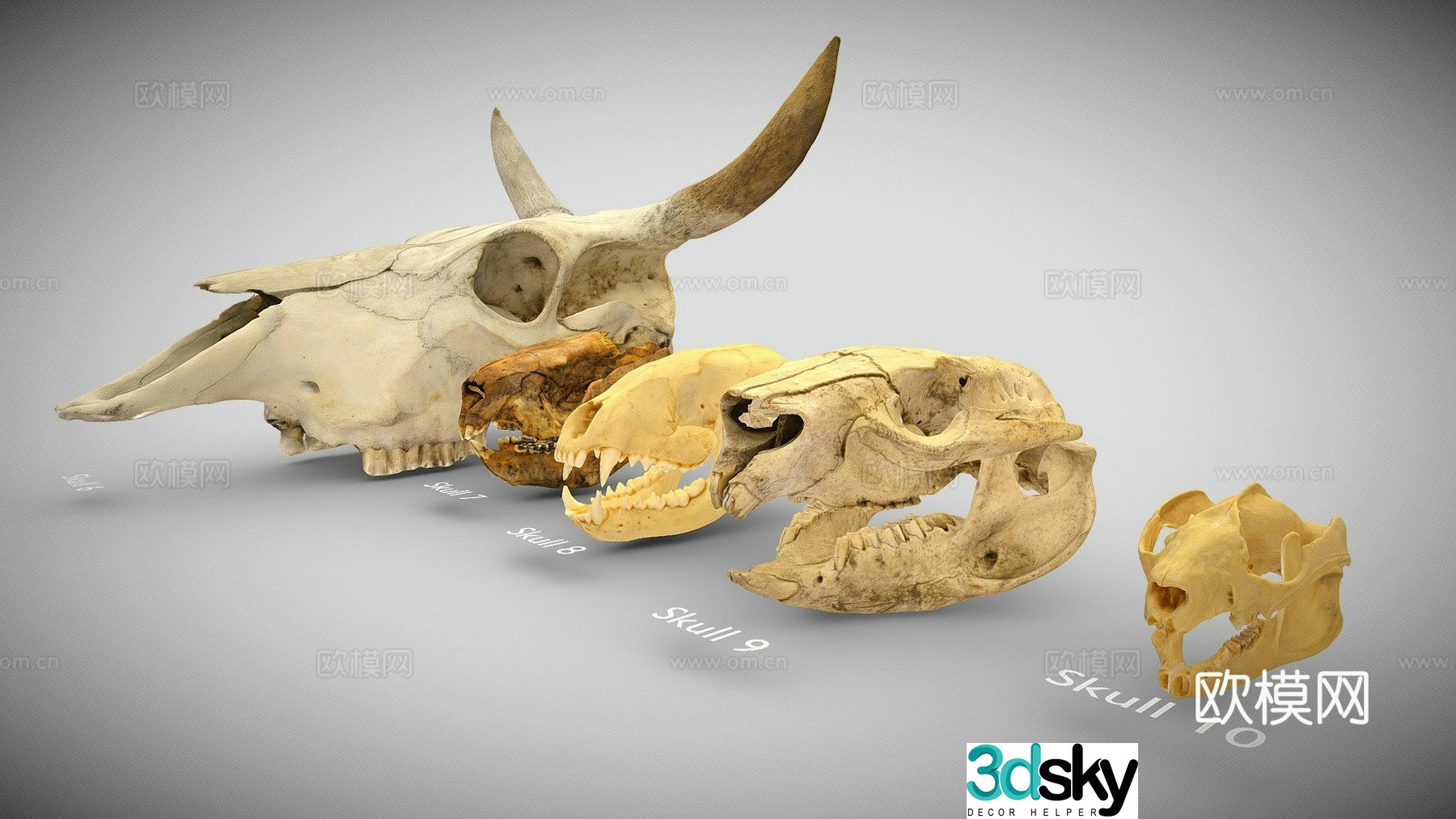 Skull Parade Set 23d model