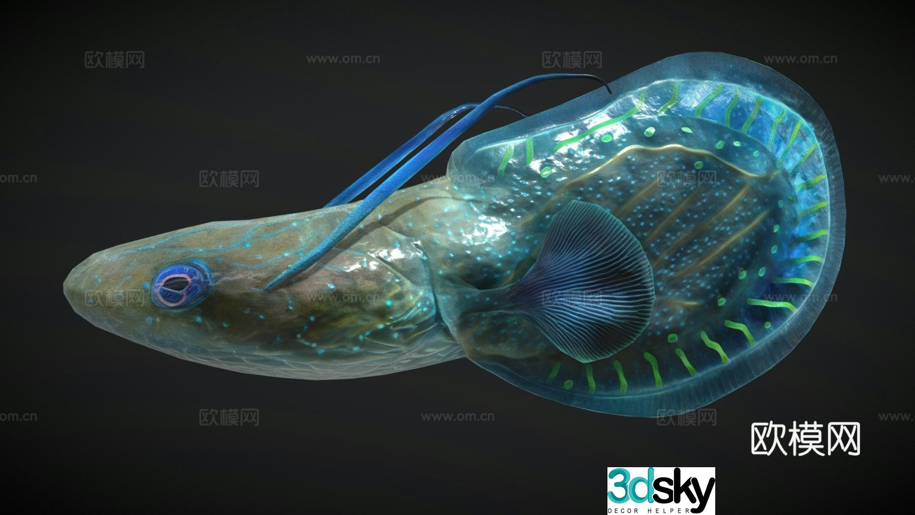 Alien fantasy fish-hydro flower tadpole 3d model