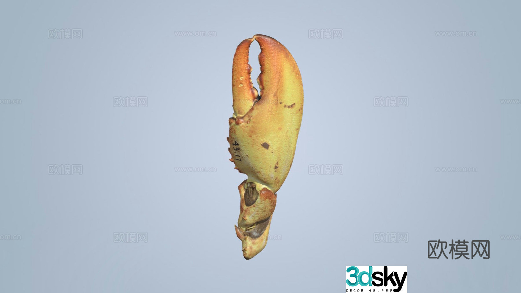 lobster claws 3d model