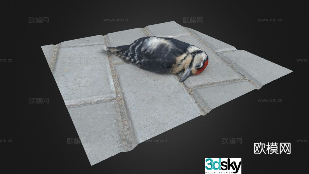 dead bird 3d model