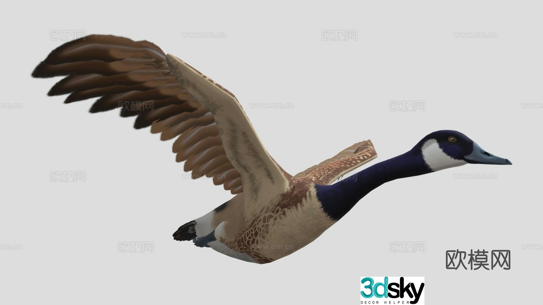 canada goose 3d model