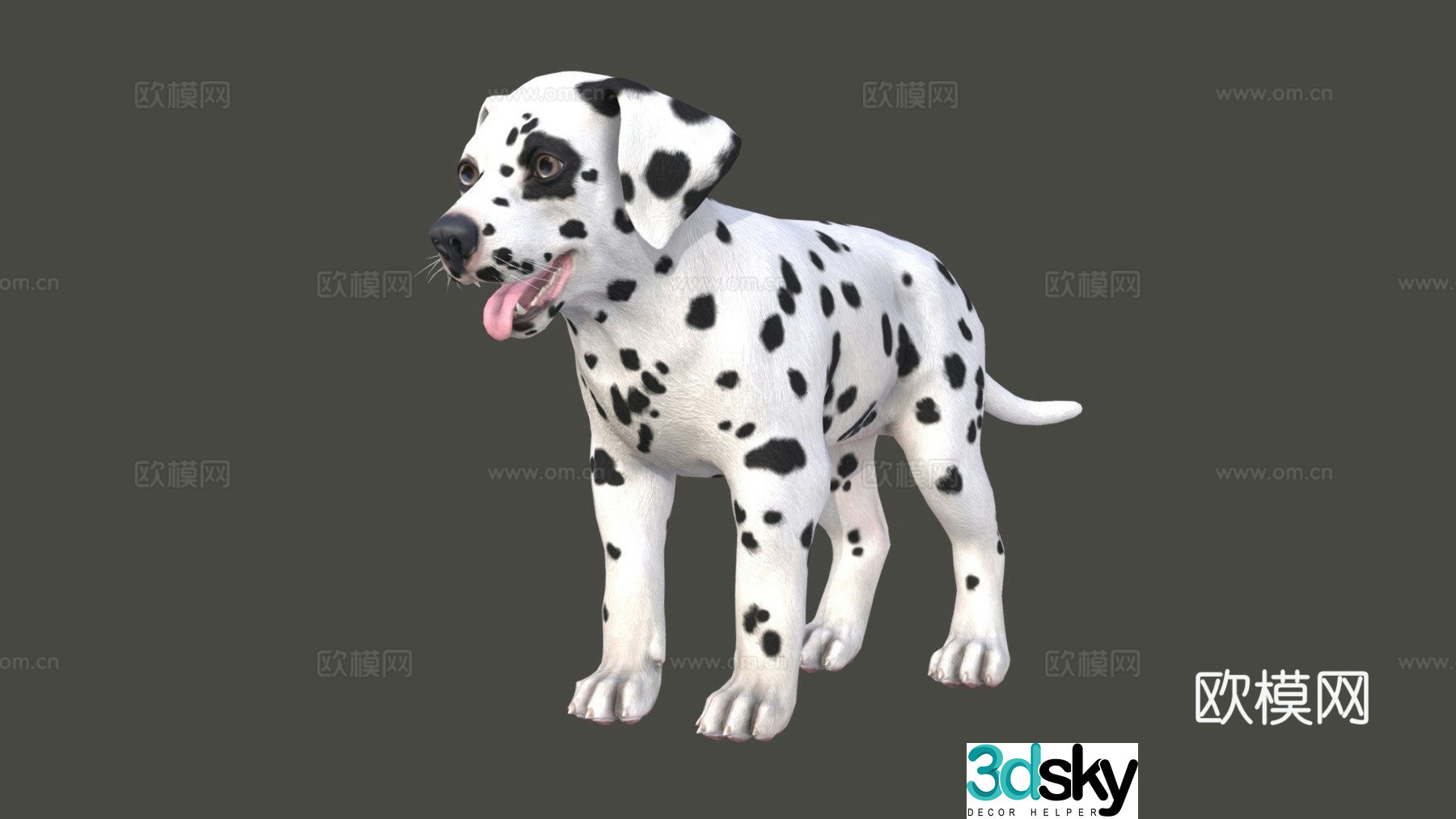 Puppy - Dalmatian 3d model