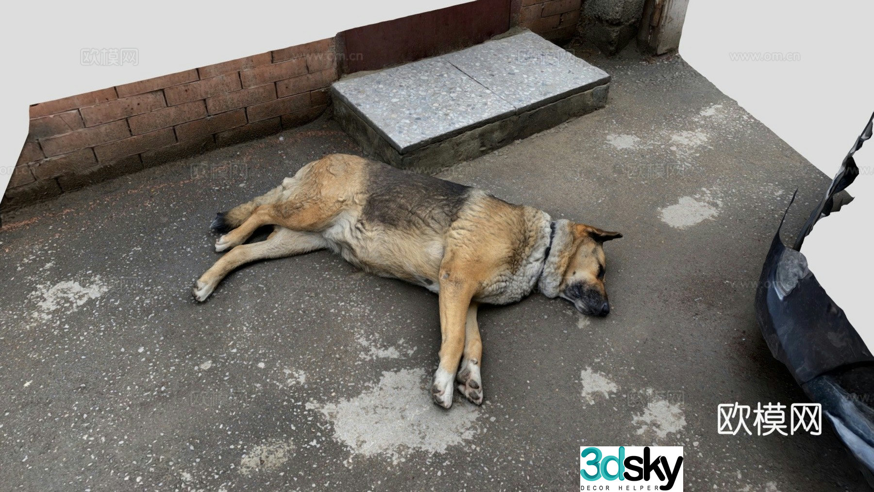 Sleeping dog 02 3d model