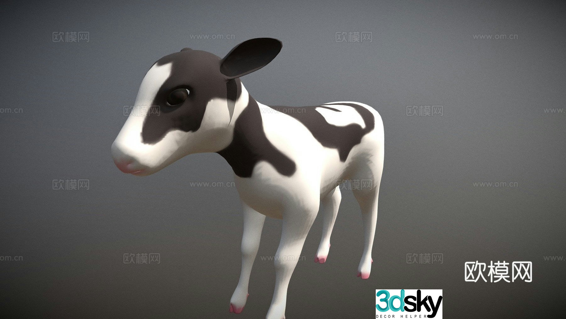 calf 3d model