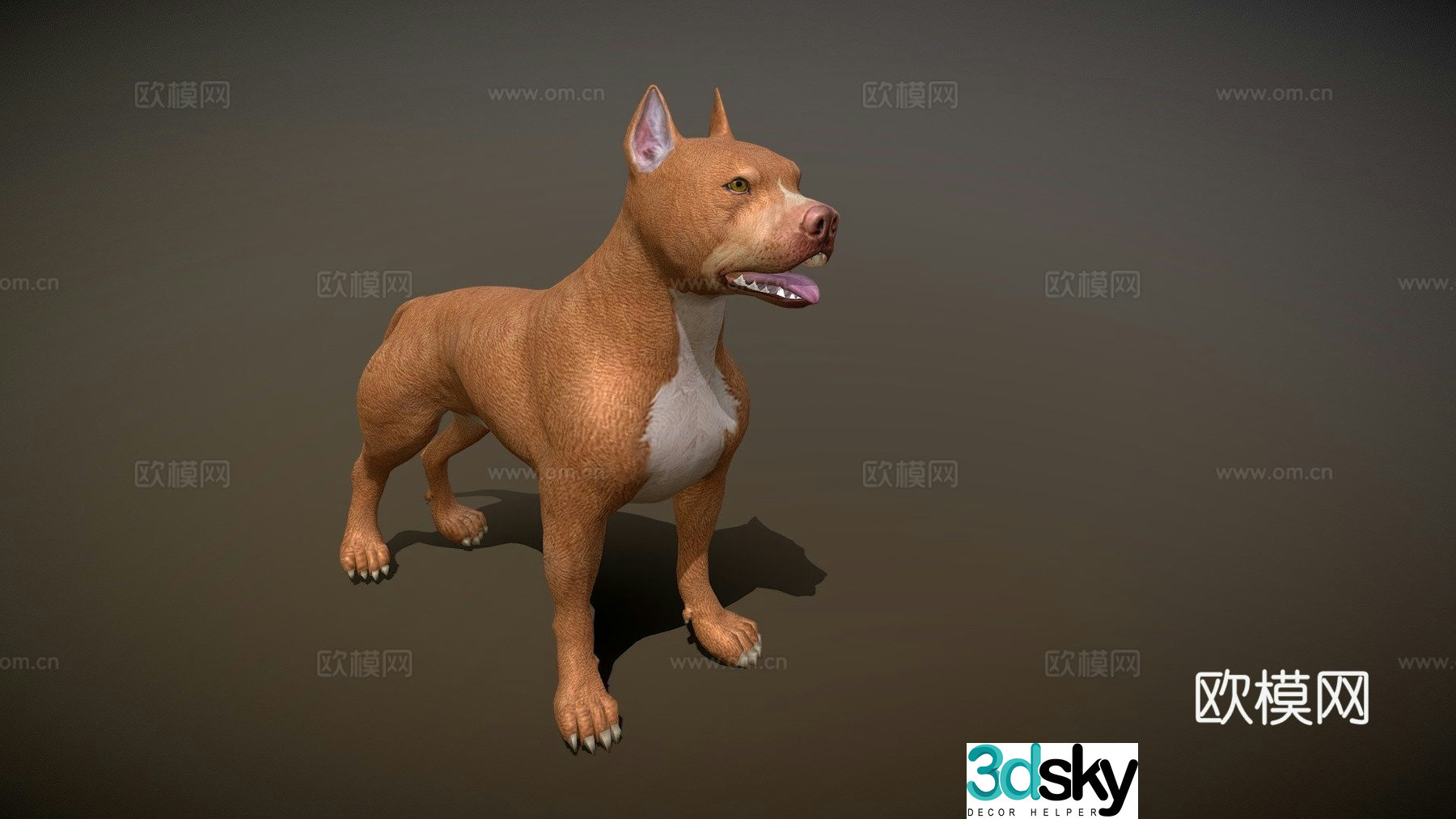 Pitbull 3d model