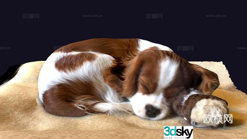 lucky 3d model