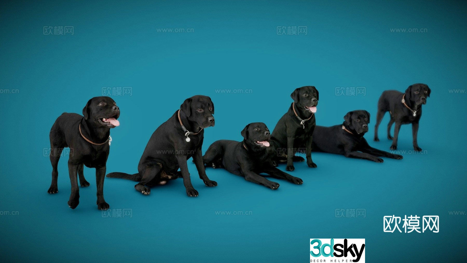 Dog six piece set Labrador 3d model 3d model