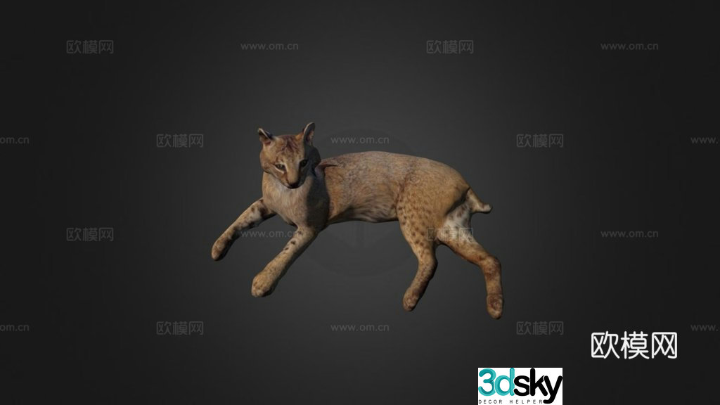 Bobcat 3d model