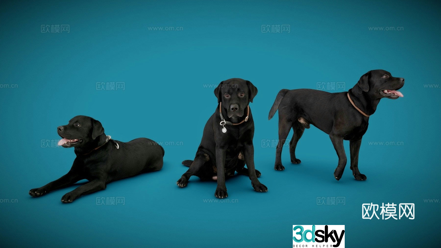 Dog three-piece set A-12-Labrador 3D model