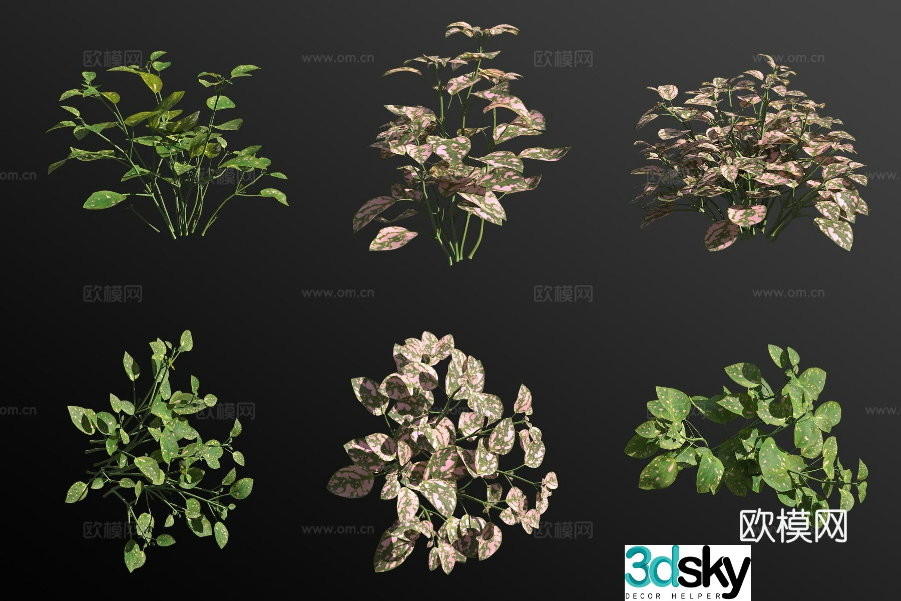 3D model of white vine shrubs and green plants