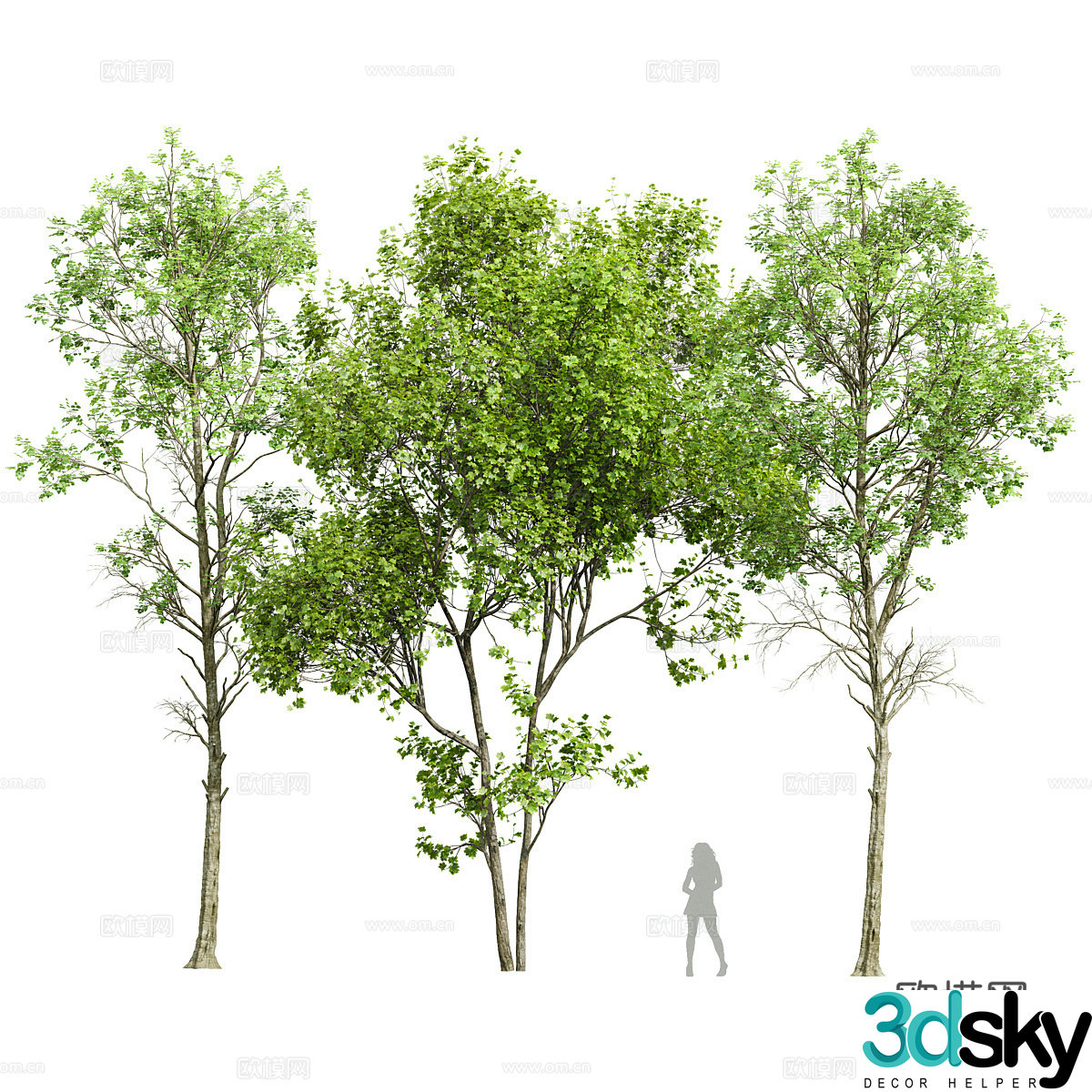 Big tree landscape tree 3d model