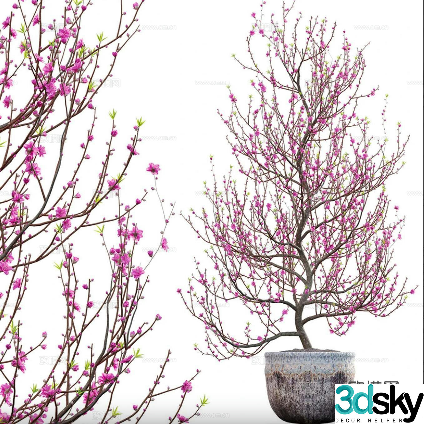 Peach blossom tree potted plant 3d model