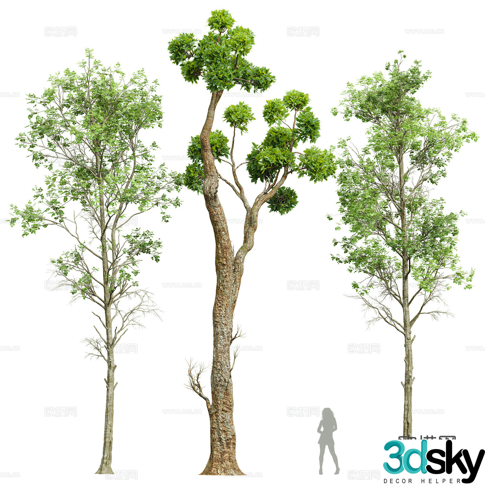Big tree landscape tree 3d model