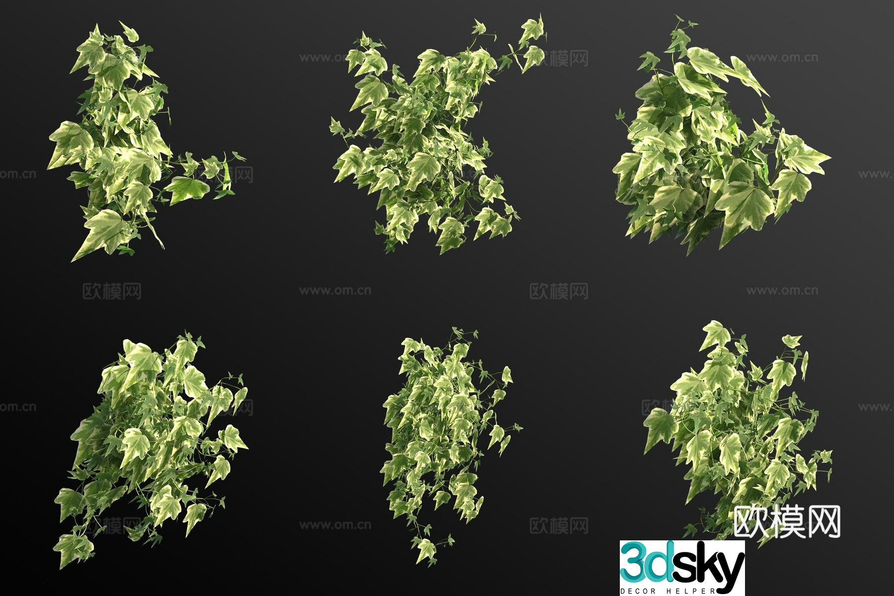 Phnom Penh ivy 3d model