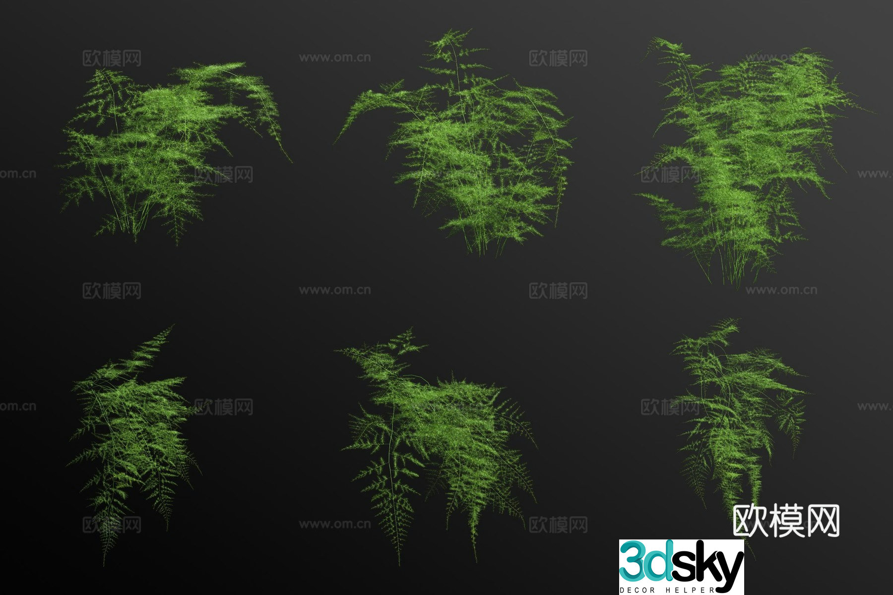 Asparagus bamboo 3d model