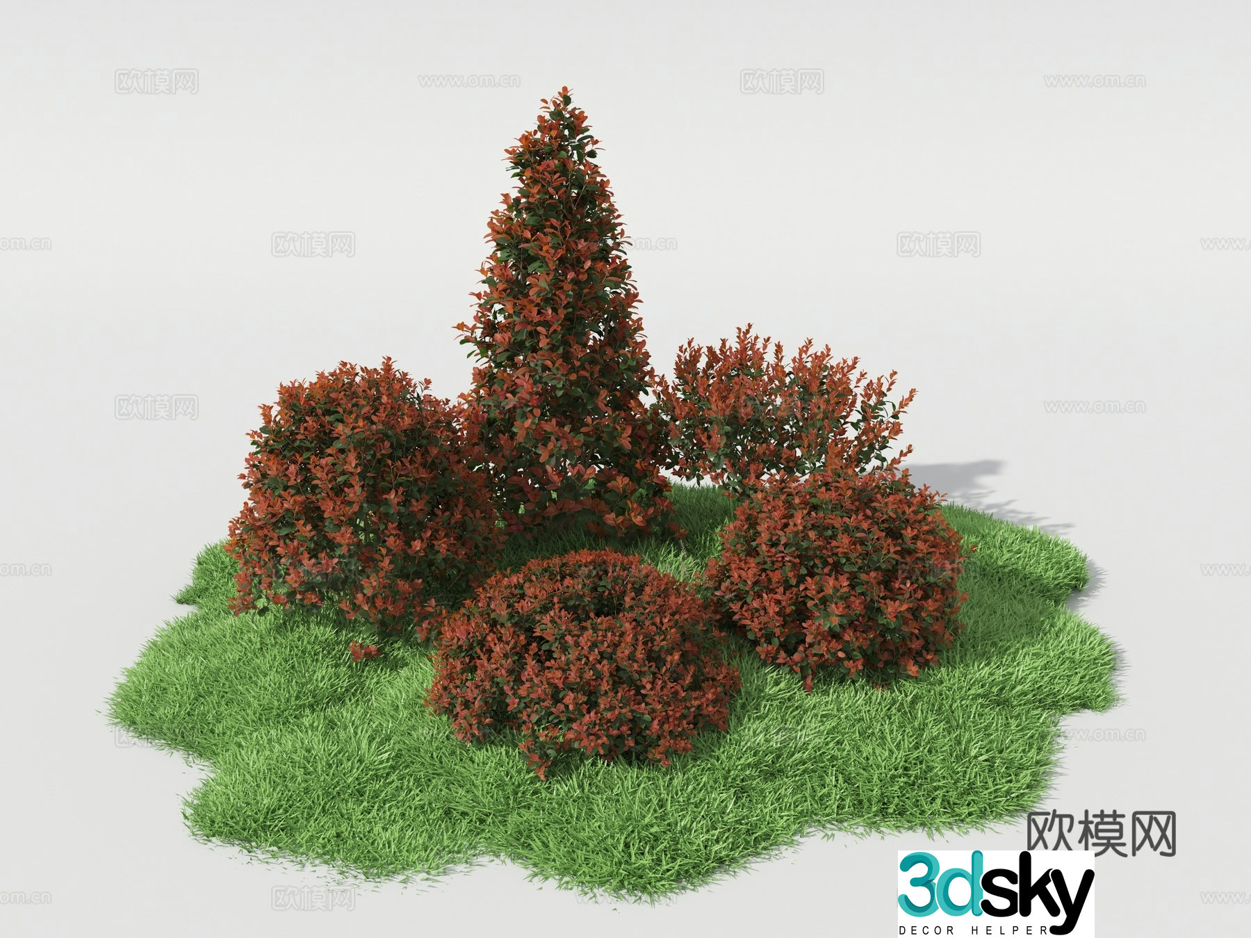 plant pile plant shrub ball shrub 3d model