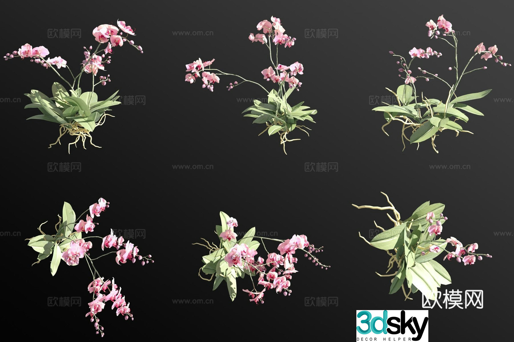 Orchid butterfly orchid grass 3d model