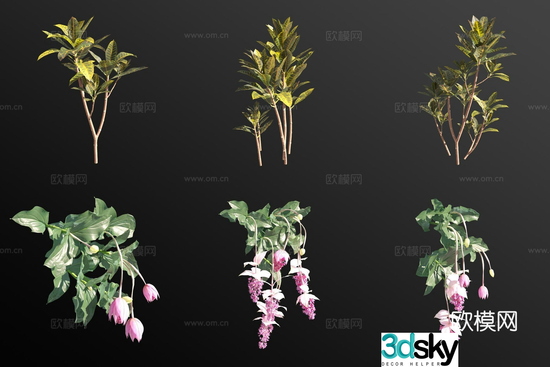 Discolored wood rosewood flowers and plants 3D model