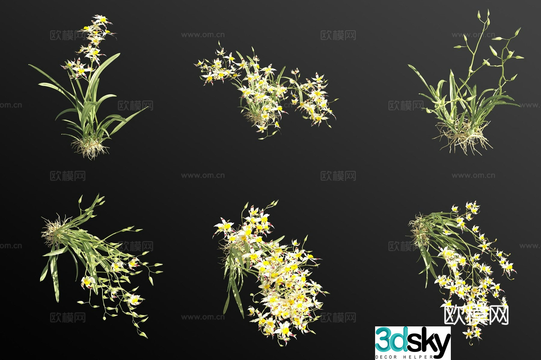 Teethogloss flower and grass 3d model
