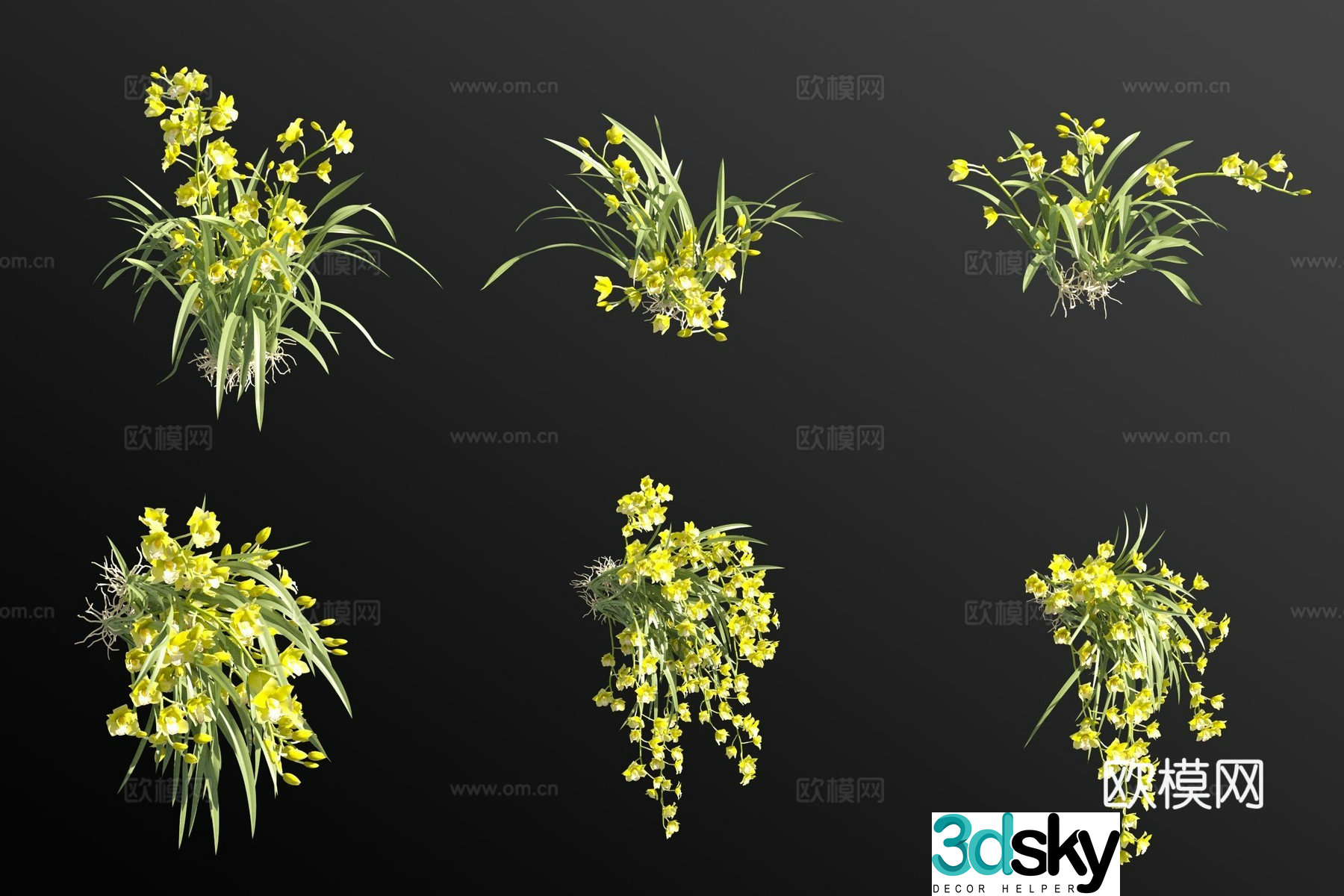 Green Catlan Flowers and Grass 3D Model