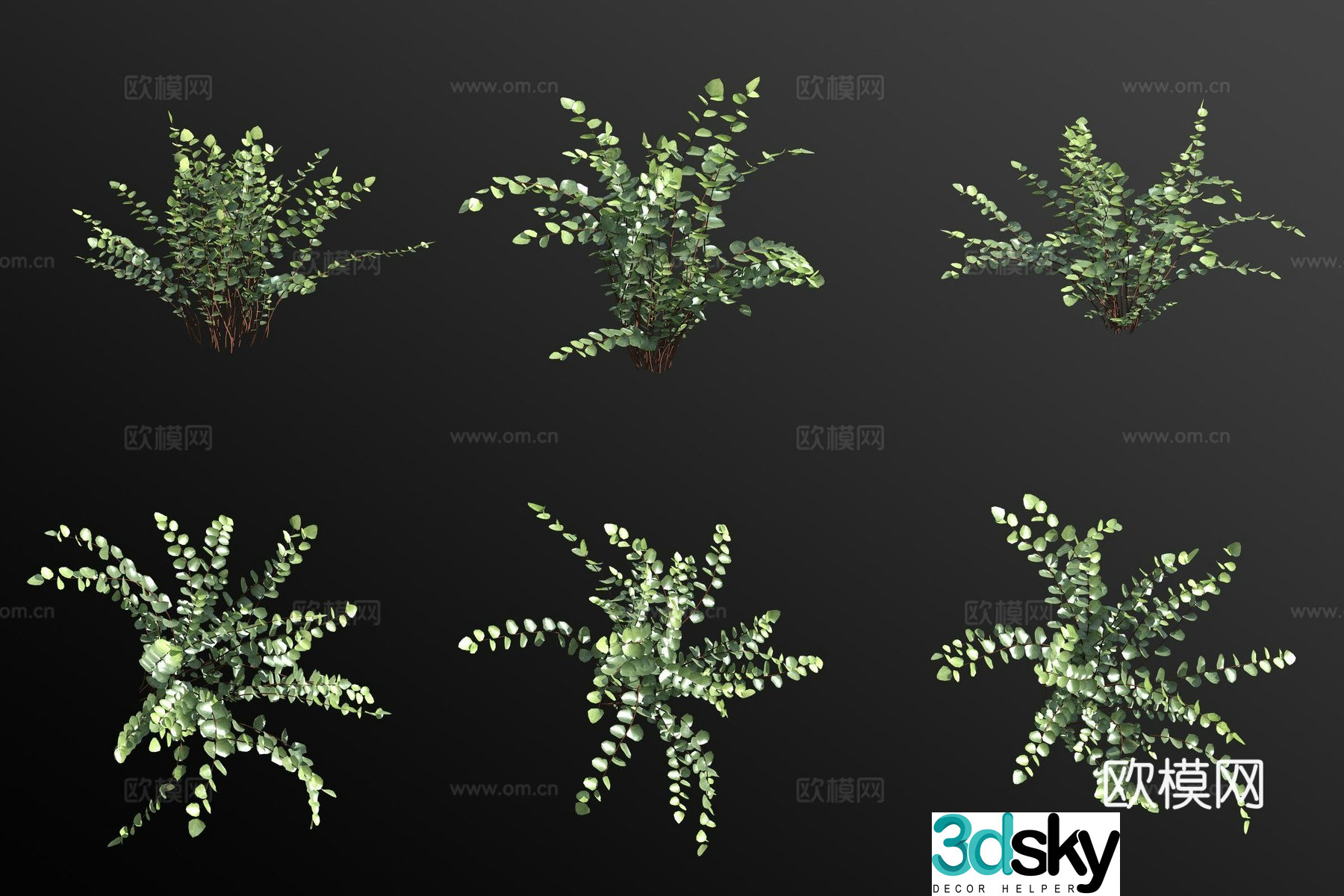 Button fern flowers and grass 3d model