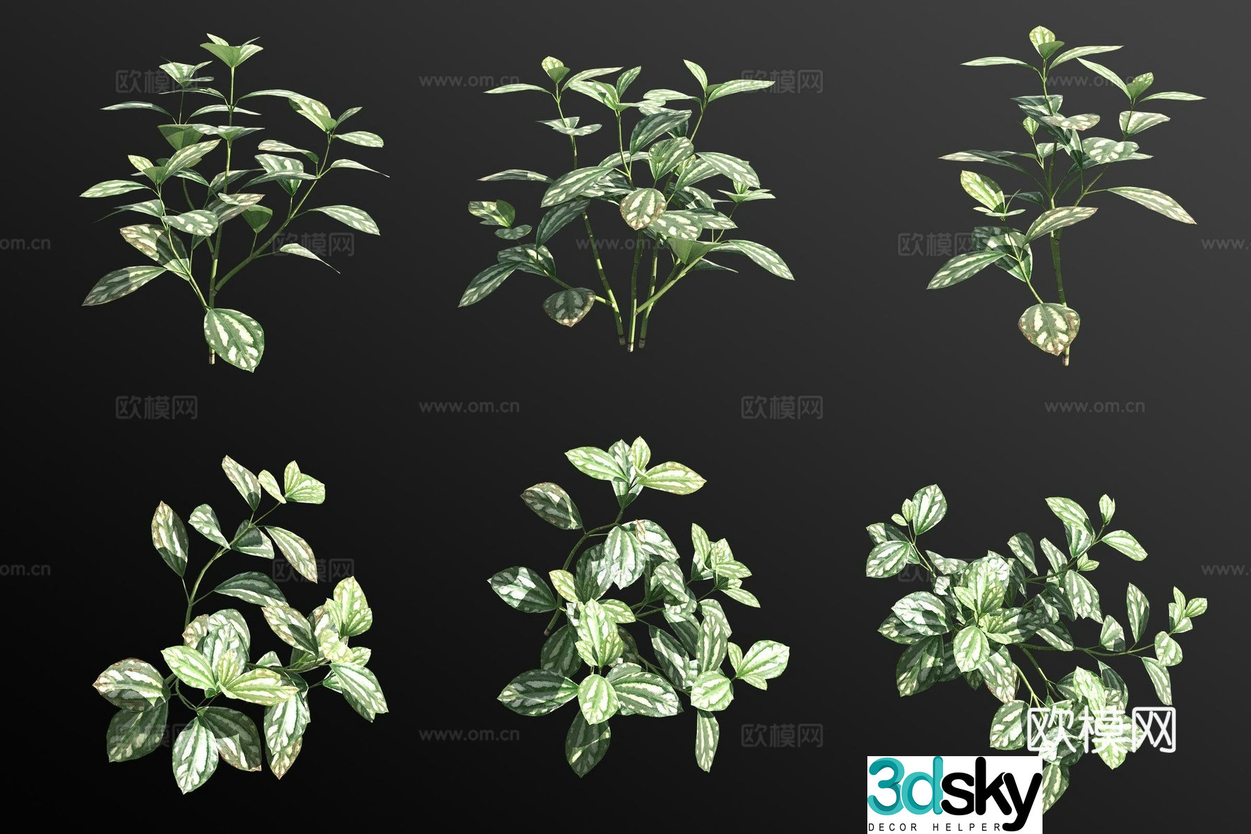 Ice water flower flowers and grass 3d model