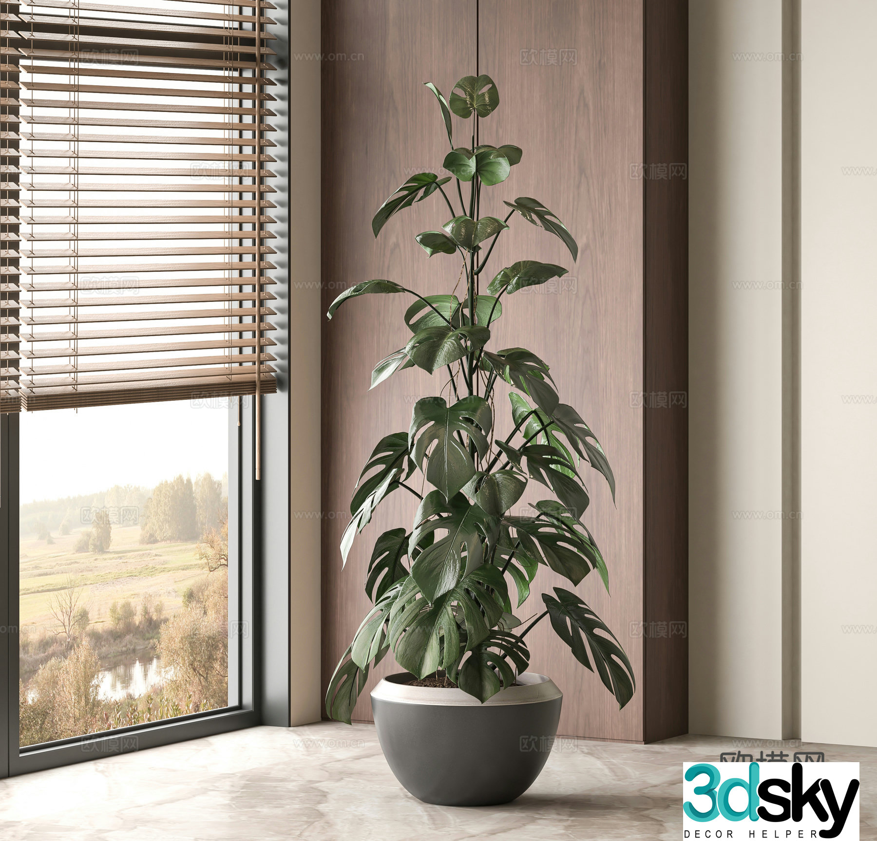 Monstera potted plant green plant plant 3d model