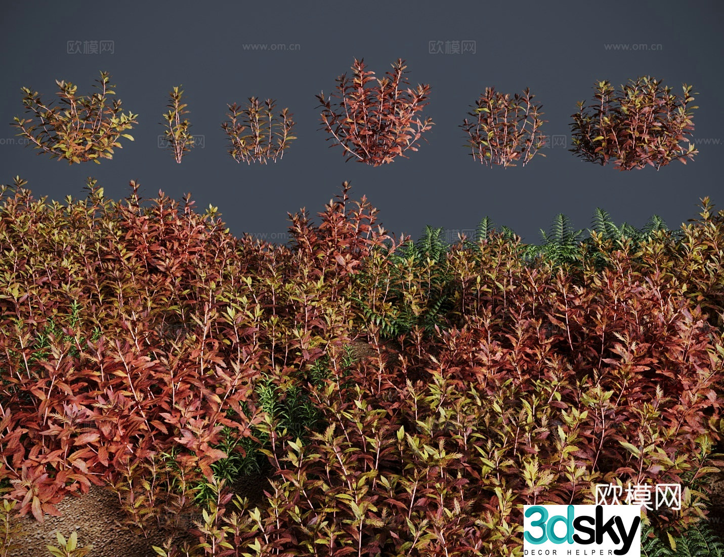 modern grass lawn red umbrella grass shrub 3d model