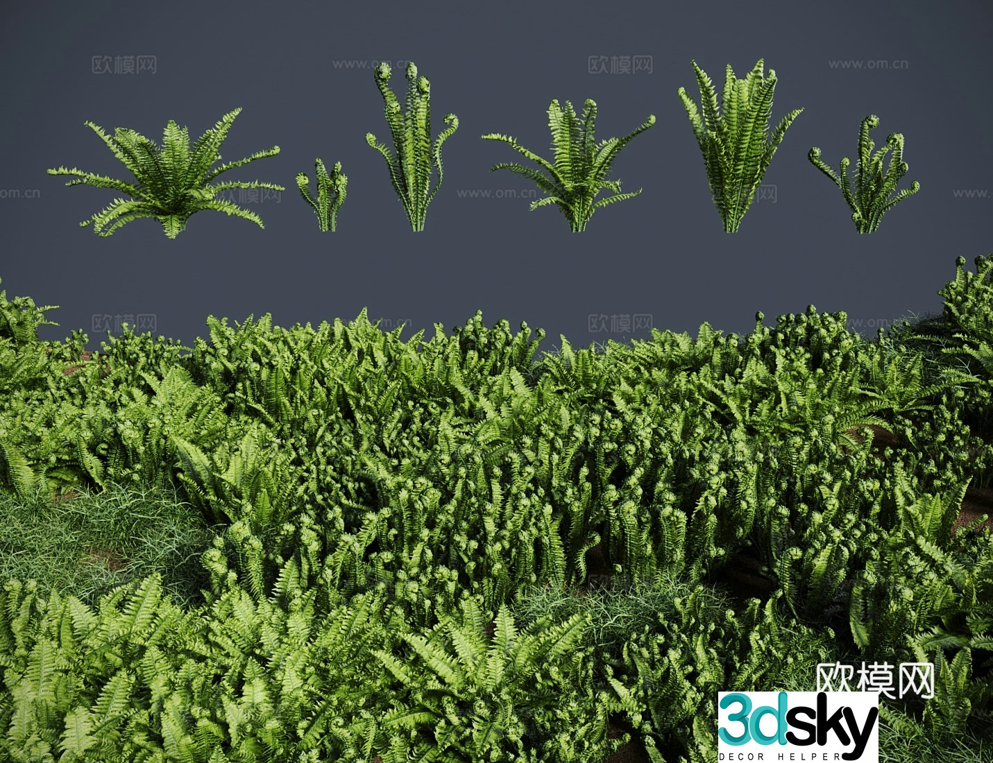 Modern grass lawn pod fern meadow shrub 3d model