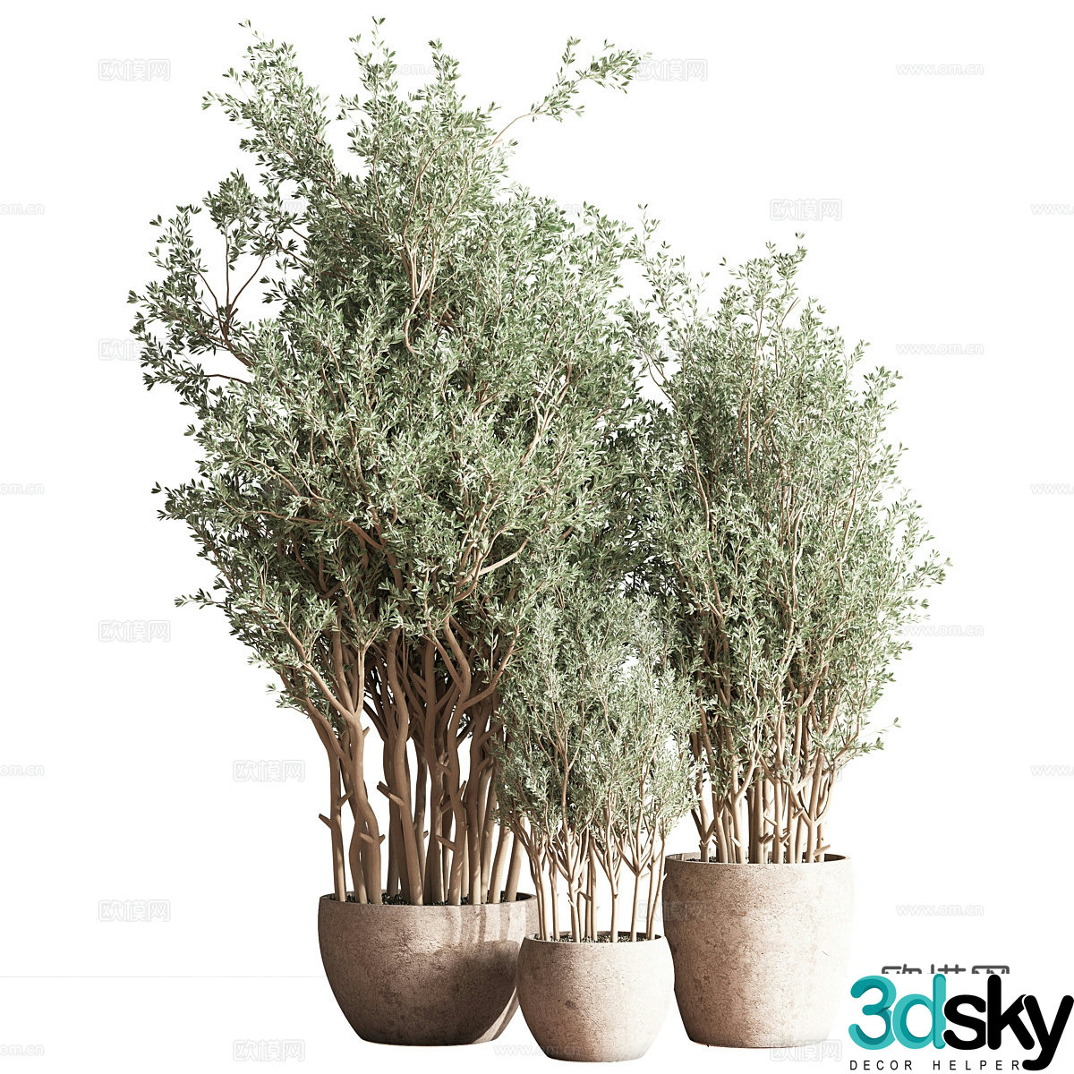 Green plant potted 3d model