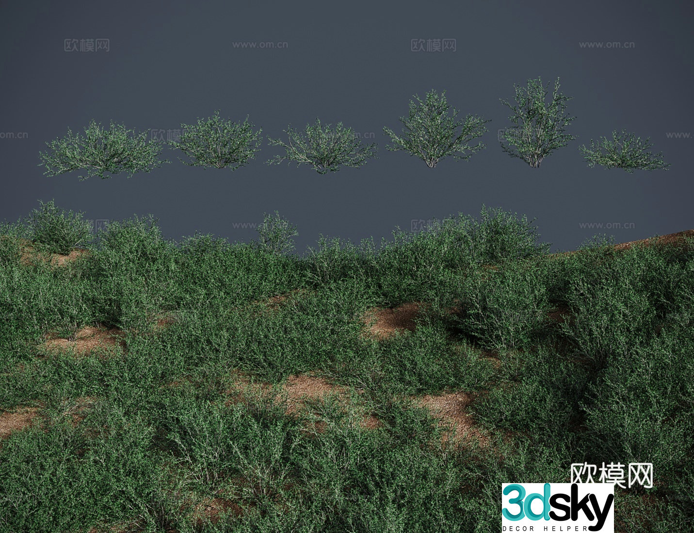 modern lawn lawn bare fruit tree lawn shrub 3d model