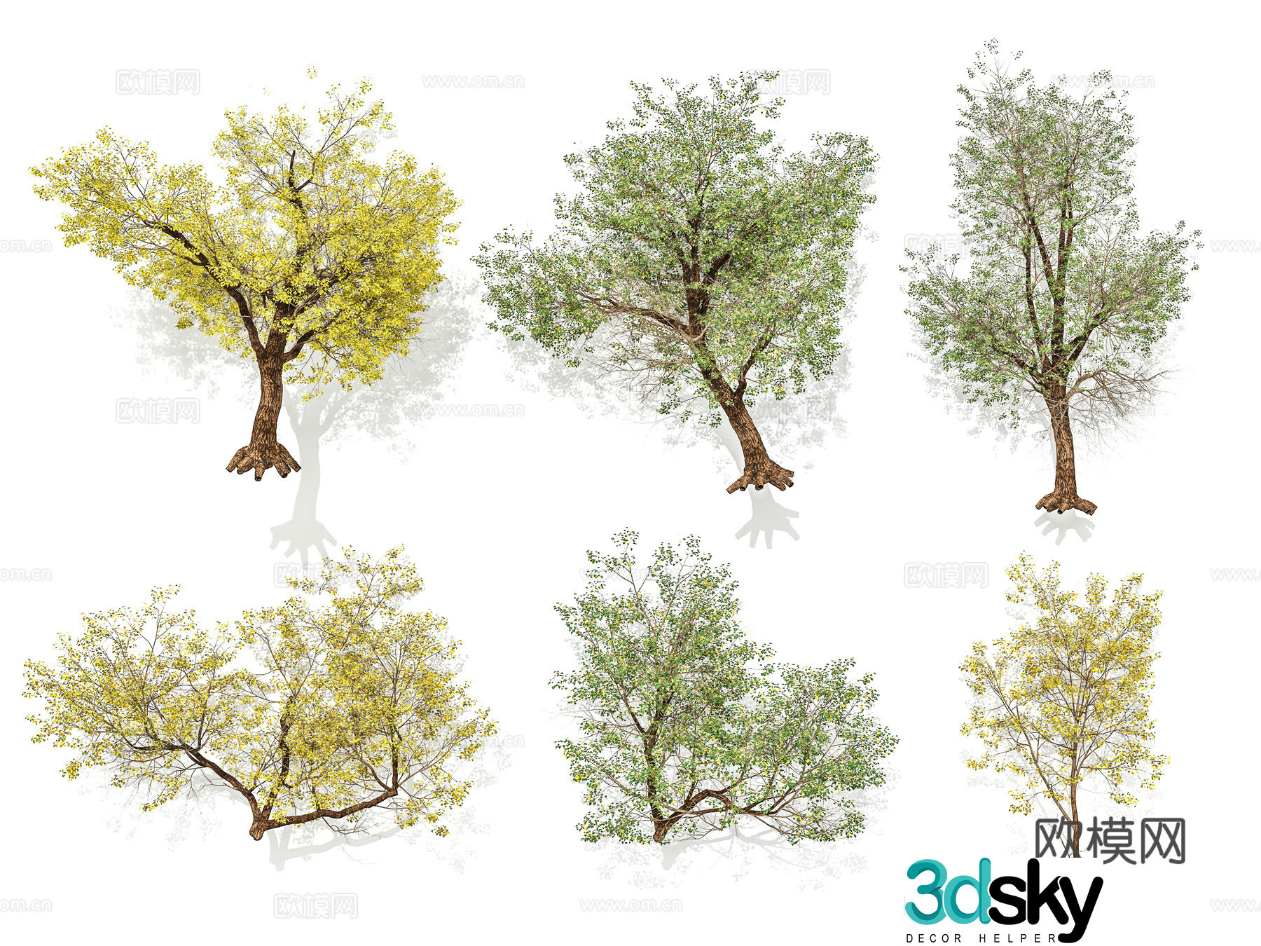 Street trees courtyard trees landscape trees arbor 3D model