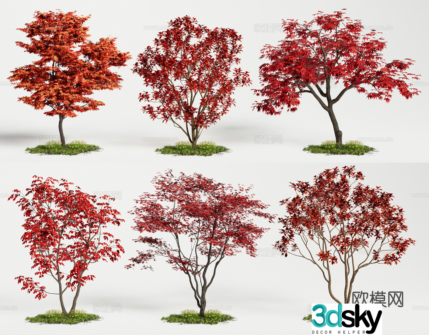 Arbor Red Maple Landscape Tree Acer Acer Maple Leaf Tree Red Leaf Tree 3D Model